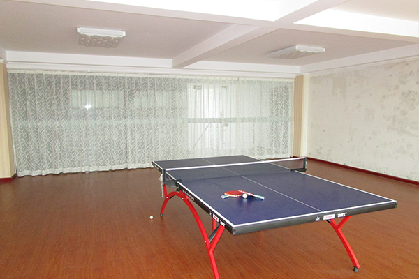 Espectáculo de la empresa de aluminio Runfa