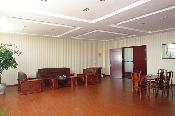 Espectáculo de la empresa de aluminio Runfa