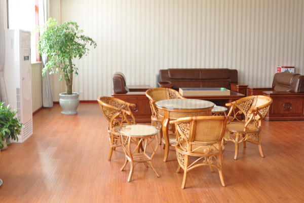 Espectáculo de la empresa de aluminio Runfa